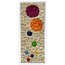 Tablou din licheni decorativi multicolori – BUBBLES
