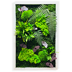 Tablou din licheni decorativi, muschi naturali si plante stabilizate – green nest