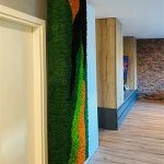 perete din licheni in livingroom