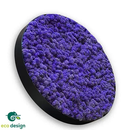 tablou rotund din licheni mov