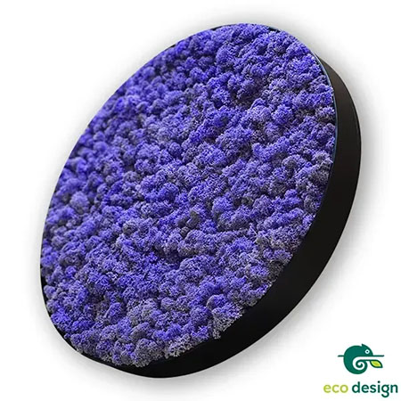 tablou rotund din licheni mov