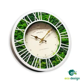 ceas licheni verde vazut din lateral