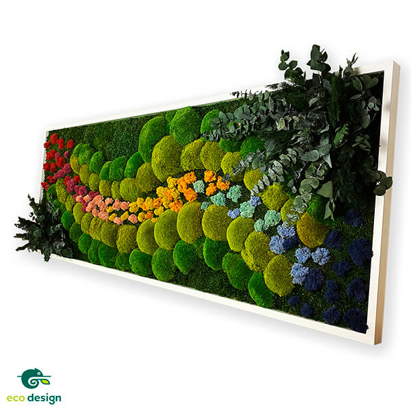 tablou multicolor din licheni stabilizati