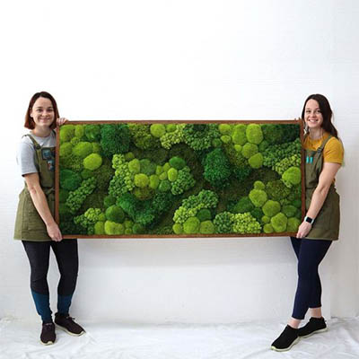 Magazinul tau online de decoratiuni vegetale si pereti cu licheni